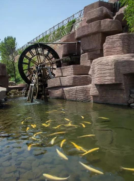 散文：品佳宁美食享生态旅游