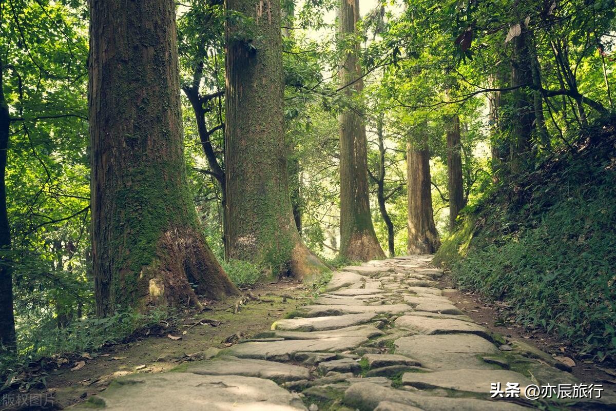 杭州周边有哪些旅游景点,杭州周边必去的十大旅游景点