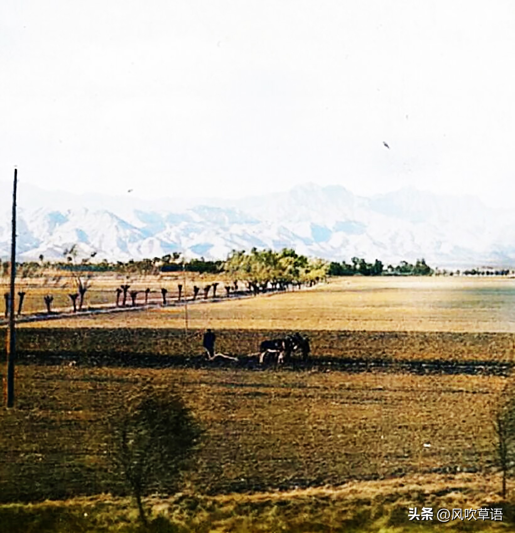 八路军攻克河北新城县的老照片,怀来县抗日八路军照片