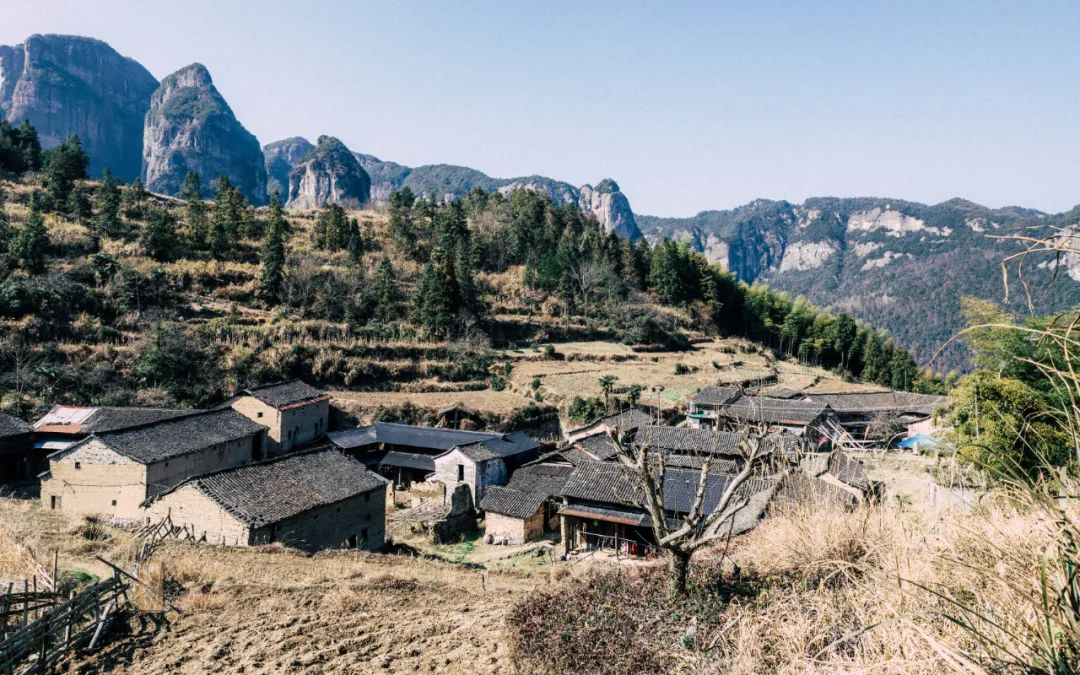 鍏泜绉樺,浠欏眳鍏泜绉樺