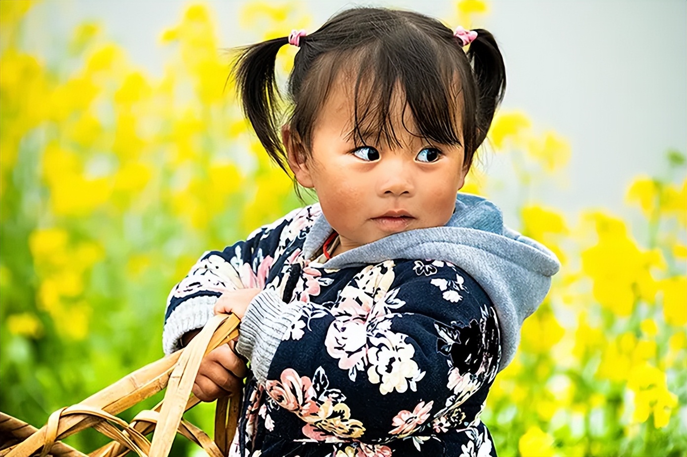 番茄鱼罐头,两只鱼罐头