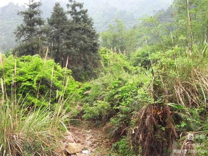 桂湘粤三省骑行交流,广西柳州三江自驾游视频