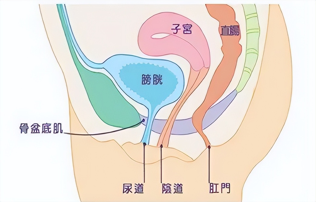 透明质酸凝胶能擦外阴瘙痒吗,外阴瘙痒有异味可以用什么药擦