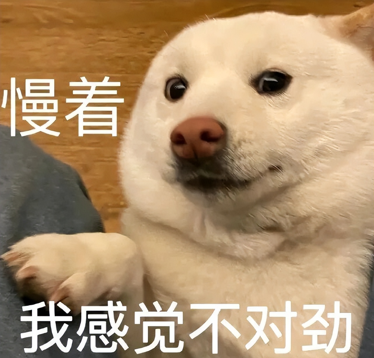 蔡徐坤的实力称得上内娱天花板吗,蔡徐坤哪些瓜是真的