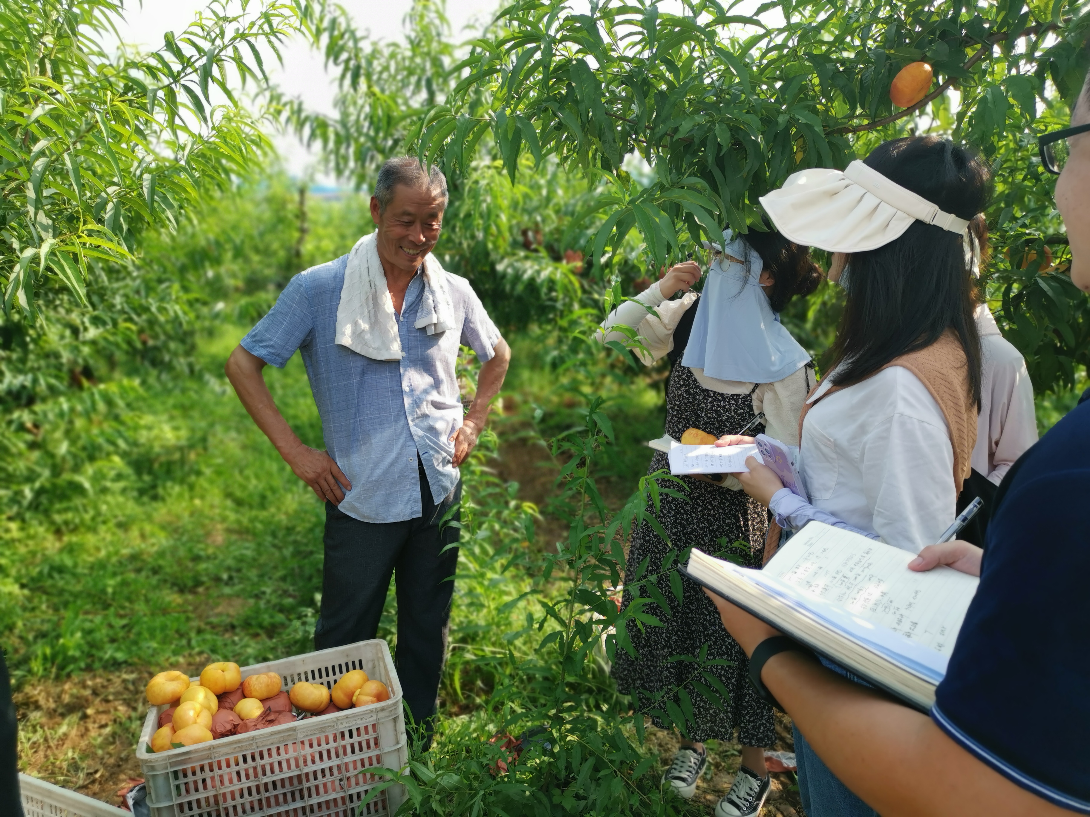 襄阳老河口市乡村振兴有哪些项目,湖北省老河口市乡村振兴工作重点