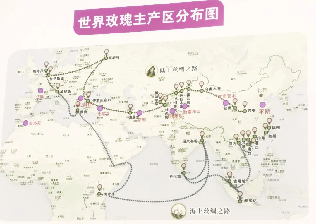 平阴玫瑰博览会门票,2019平阴玫瑰产业博览会