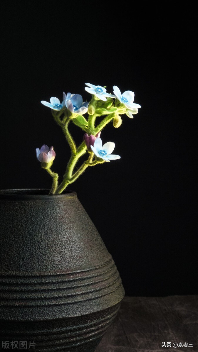 女作家去做保姆336,女作家去做保姆398