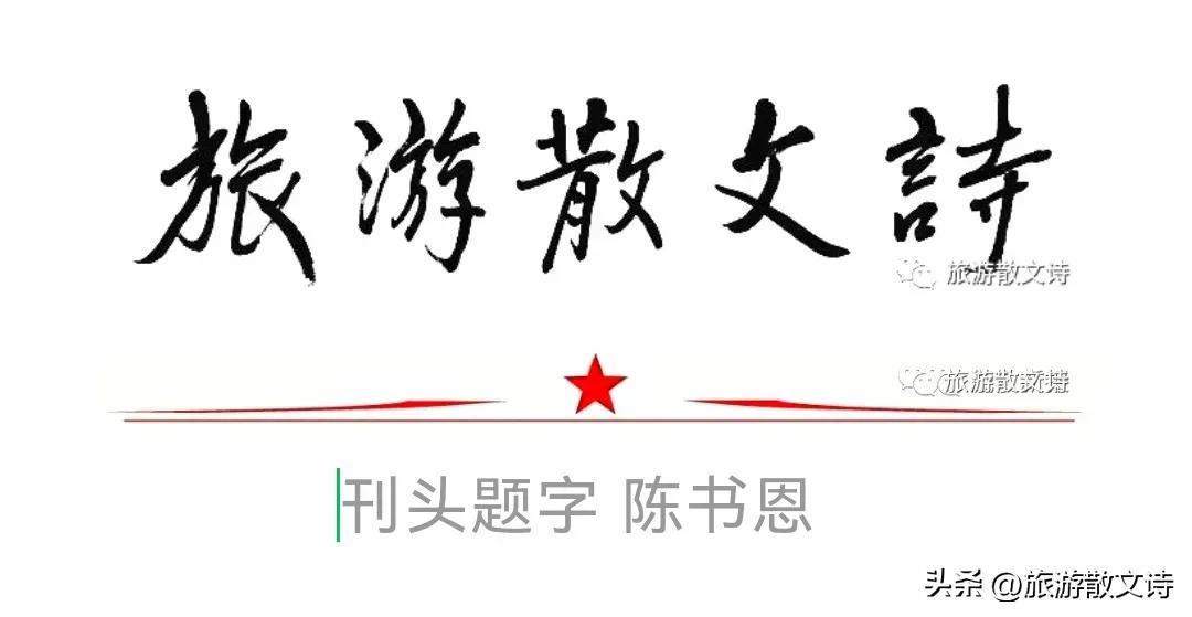 任尚民||怀念母亲