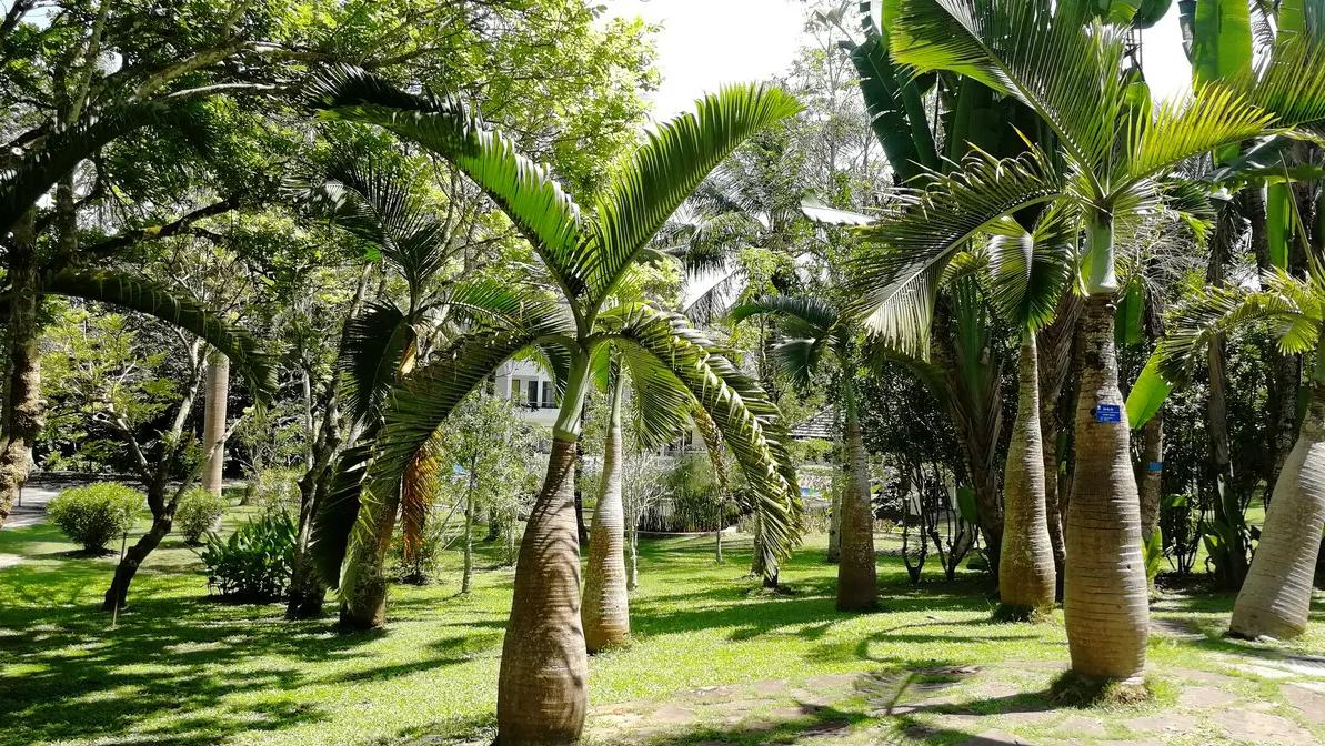 浜戝崡鍐鏃呮父鏅偣鎺ㄨ崘,浜戝崡淇濆北鏃呮父鏅偣澶у叏