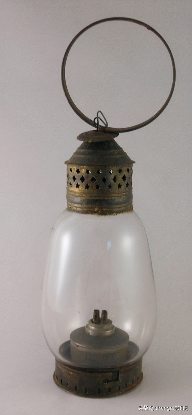 有关于鲸鱼的冷知识,关于鲸鱼的十个小知识