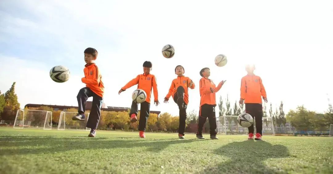 北京基础教育,基础教育课程改革先进单位