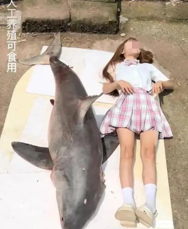 怎样利用网红挣钱,网红挣钱真的多吗