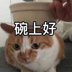 健康养生的零食都有哪些,健康养生零食大全