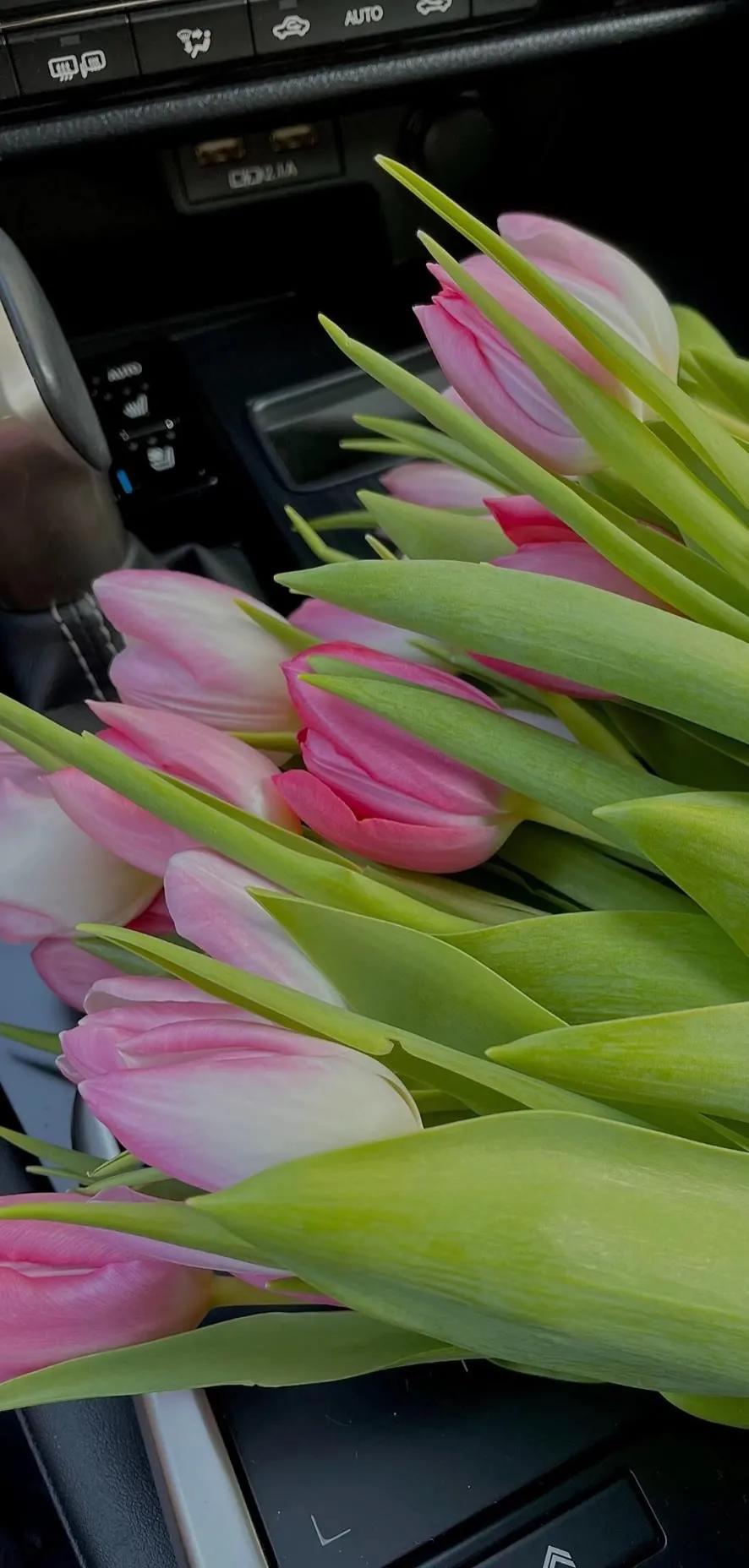 湛蓝的海水海滩风景高清壁纸,高清壁纸8k全屏无水印风景