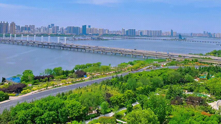 临沂市竞赛报名入口,临沂海选什么时候报名