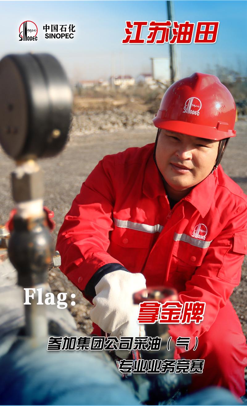 中国石化企业的现状,中国石化国内最新项目