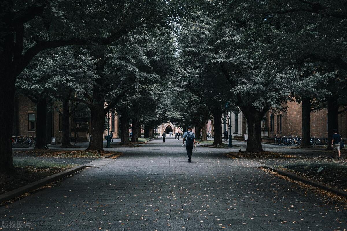 亚洲第一高校东京大学