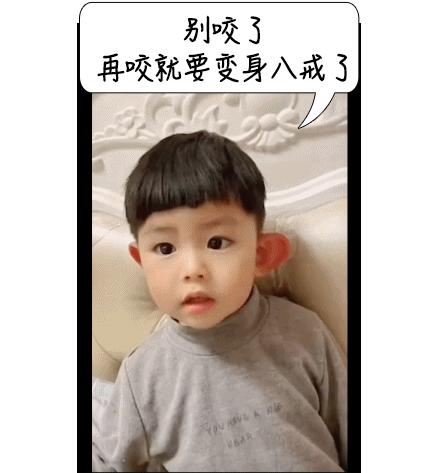 o型血的人最容易被蚊子咬吗,蚊子最爱o型和b型血