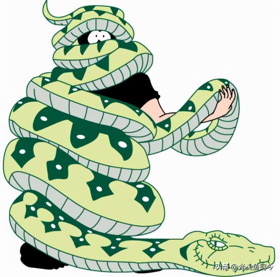 缅甸蟒长大后的天敌除了人有哪些,缅甸蟒喜欢什么样栖息环境