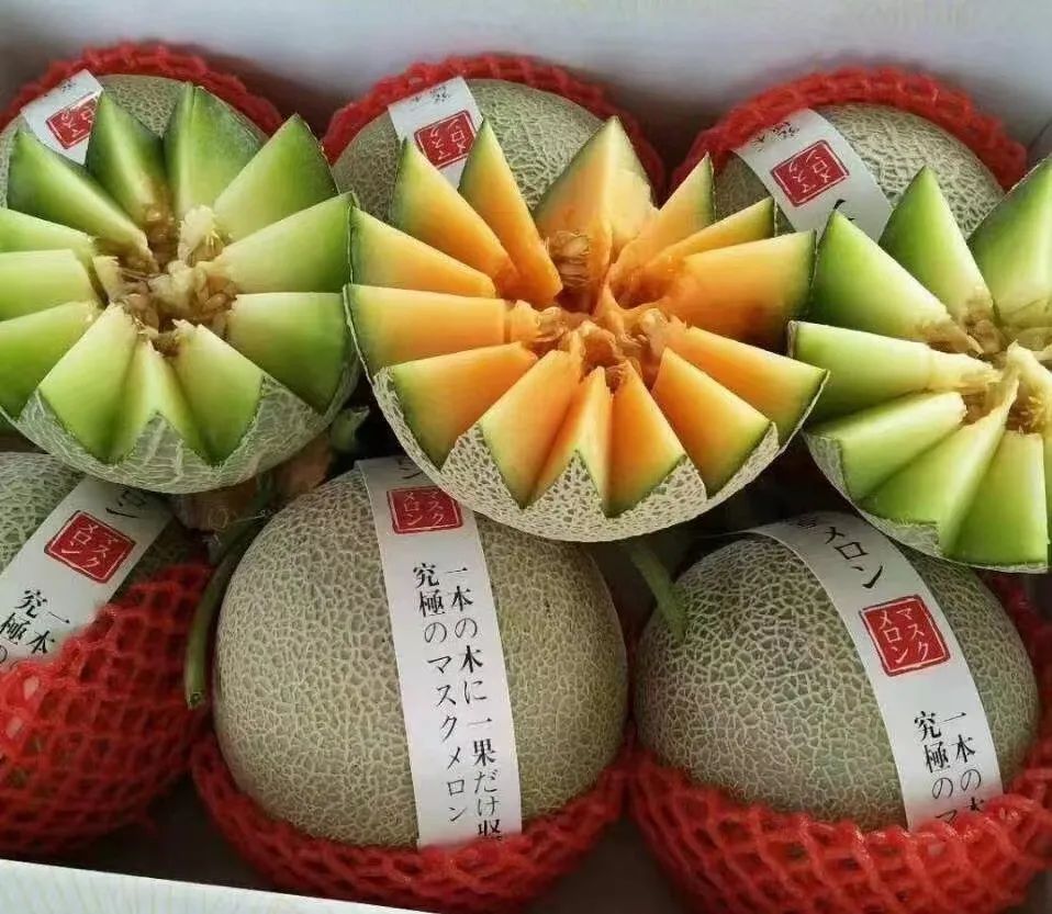 甜瓜新品种5762的种子价格,全国甜瓜价格最新行情