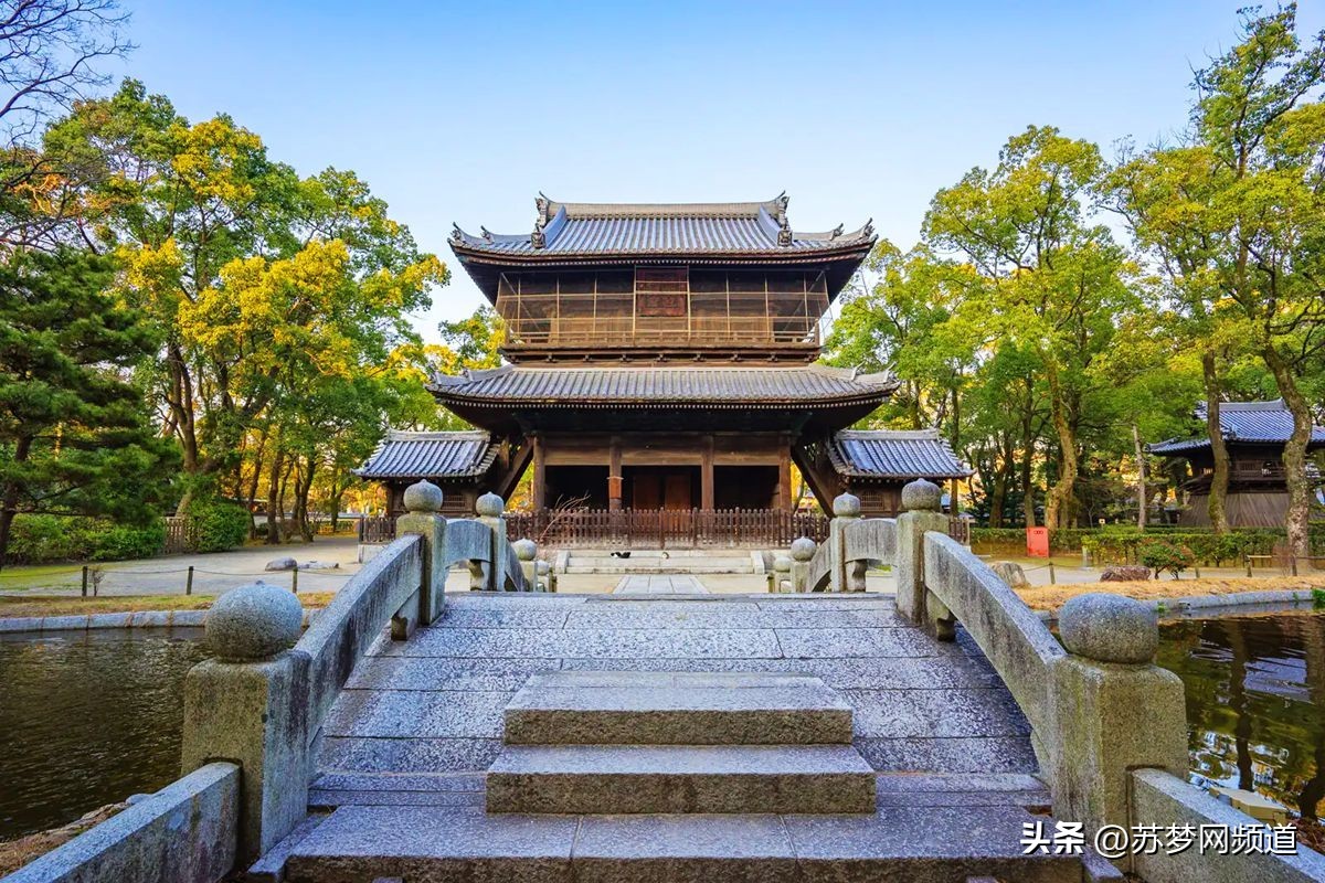 绂忓唸kota,绂忓唸zumba