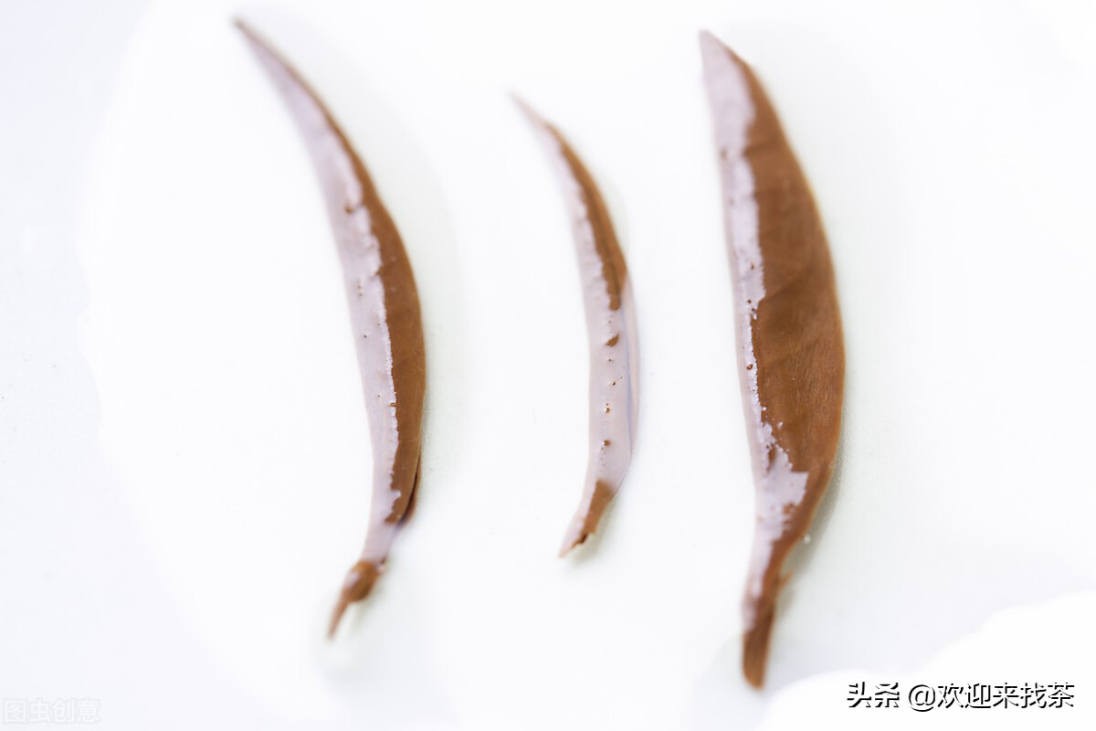 英国红茶过期两年还能喝吗,红茶有保质期吗过期的茶叶能喝吗