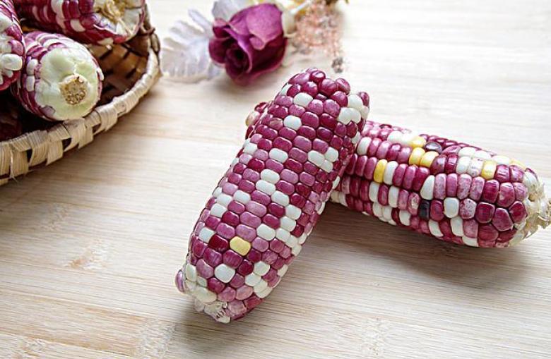 甜玉米和糯玉米哪个减肥效果更好,甜玉米和糯玉米哪个热量更低