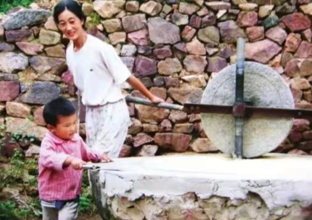 北大学霸王青松携妻隐居山林,隐居深山11年的北大生王青松