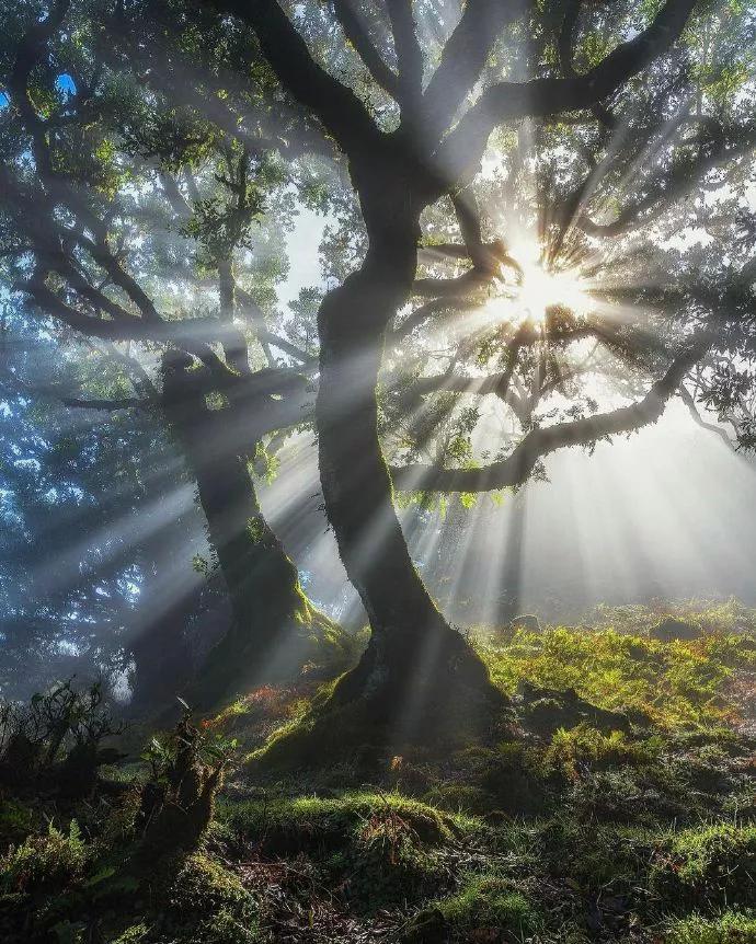 怎样成为快递员,怎么当快递小哥