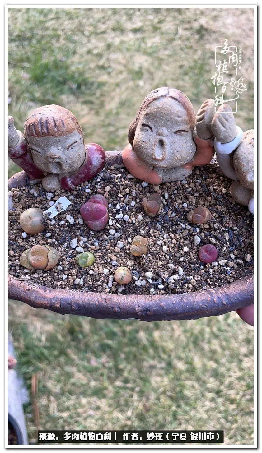 世间繁华三千不如一隅清欢,世间繁华三千不如有一院清欢