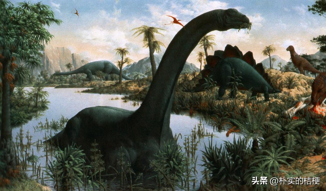 恐龙化石复原的错误,恐龙的错误复原