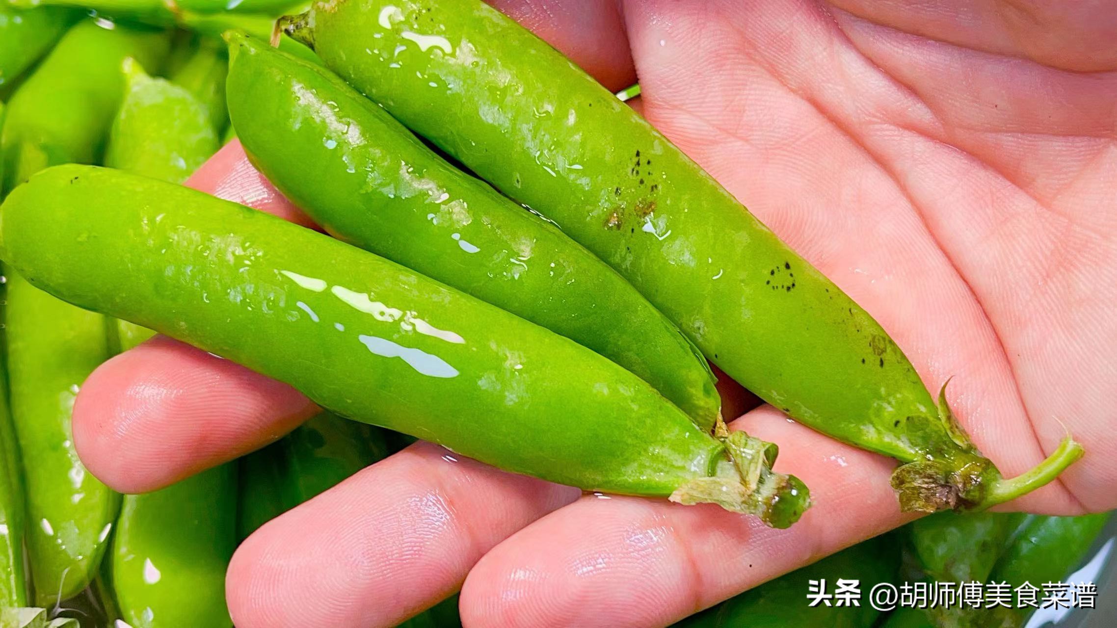 入夏前使劲吃，一补钙、二明目、三养颜，四强免疫，才卖2元1斤！