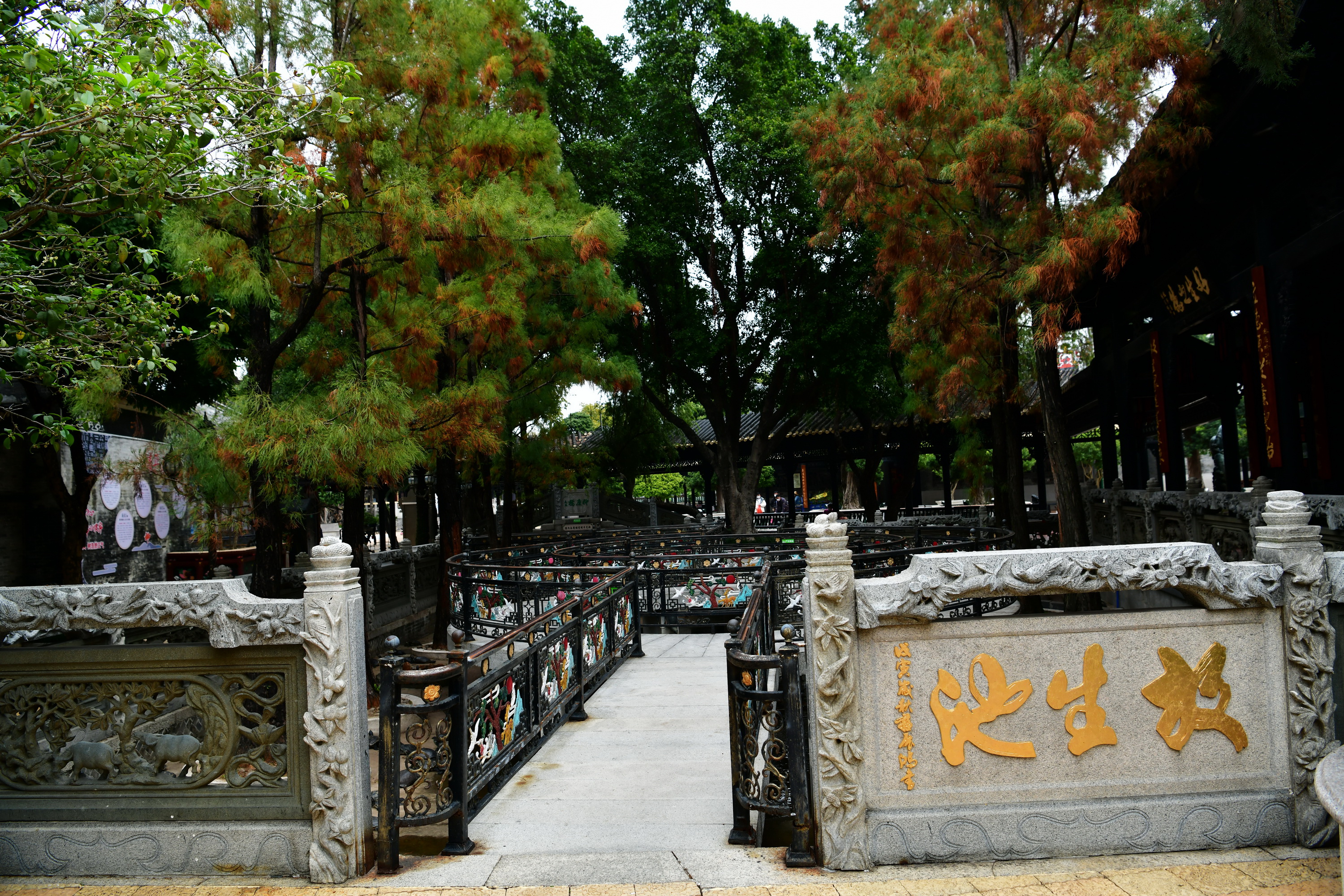 广州市番禺区宝墨园攻略,广州宝墨园景观