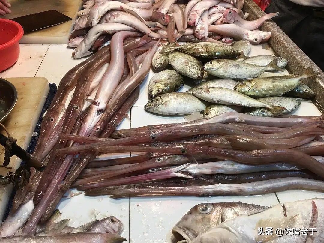 冬天最适合吃的五种鱼,盘点夏季必吃的十种鱼