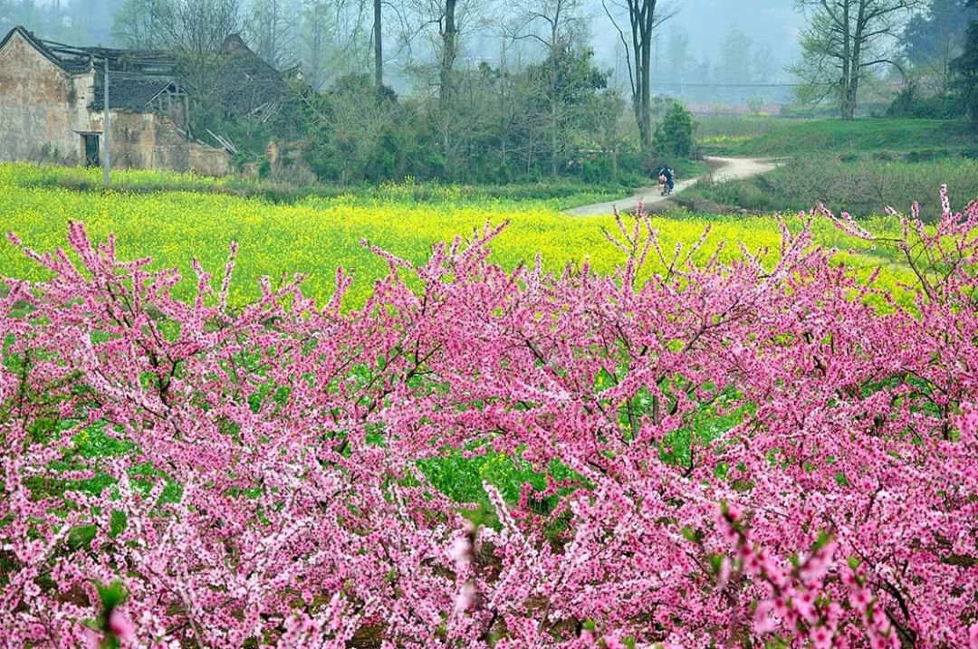 5月底桂林梯田摄影,桂林阳朔山水风光摄影团攻略