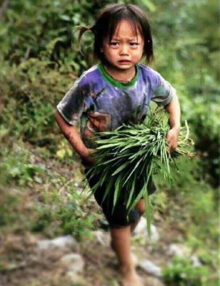 山村疯女人第七十二集,山村疯女人第五十三集