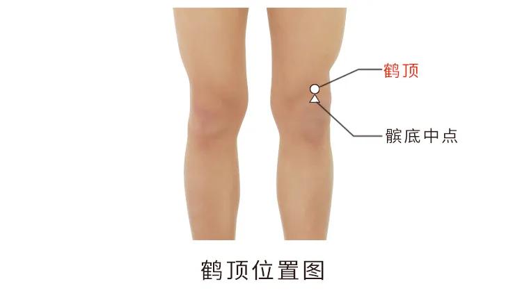 膝五针治疗什么,膝关节痛三针疗法