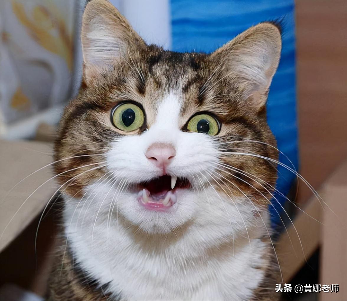 泰国为什么灵异事件多,泰国十大灵异事件之谜