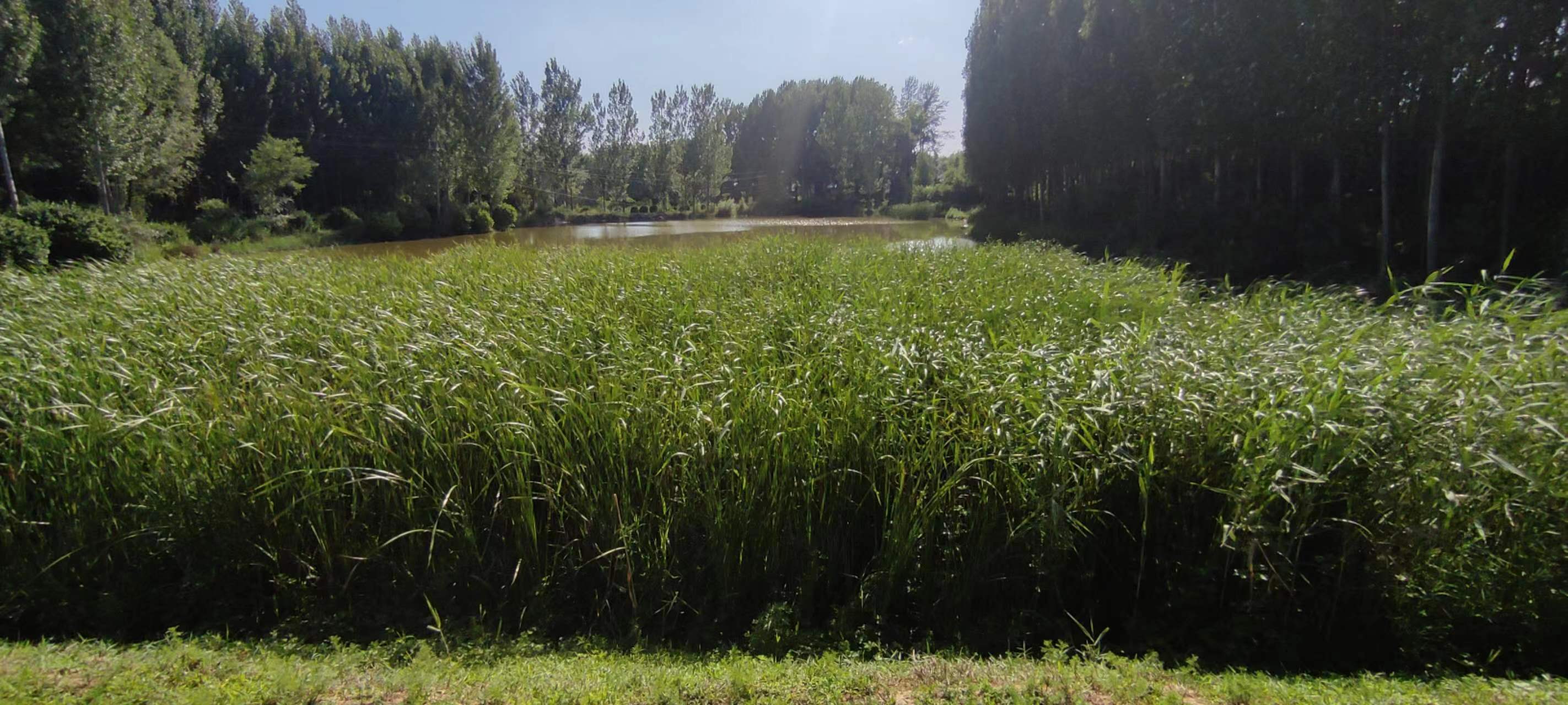 古中国考出彭蠡泽｜张笔魁