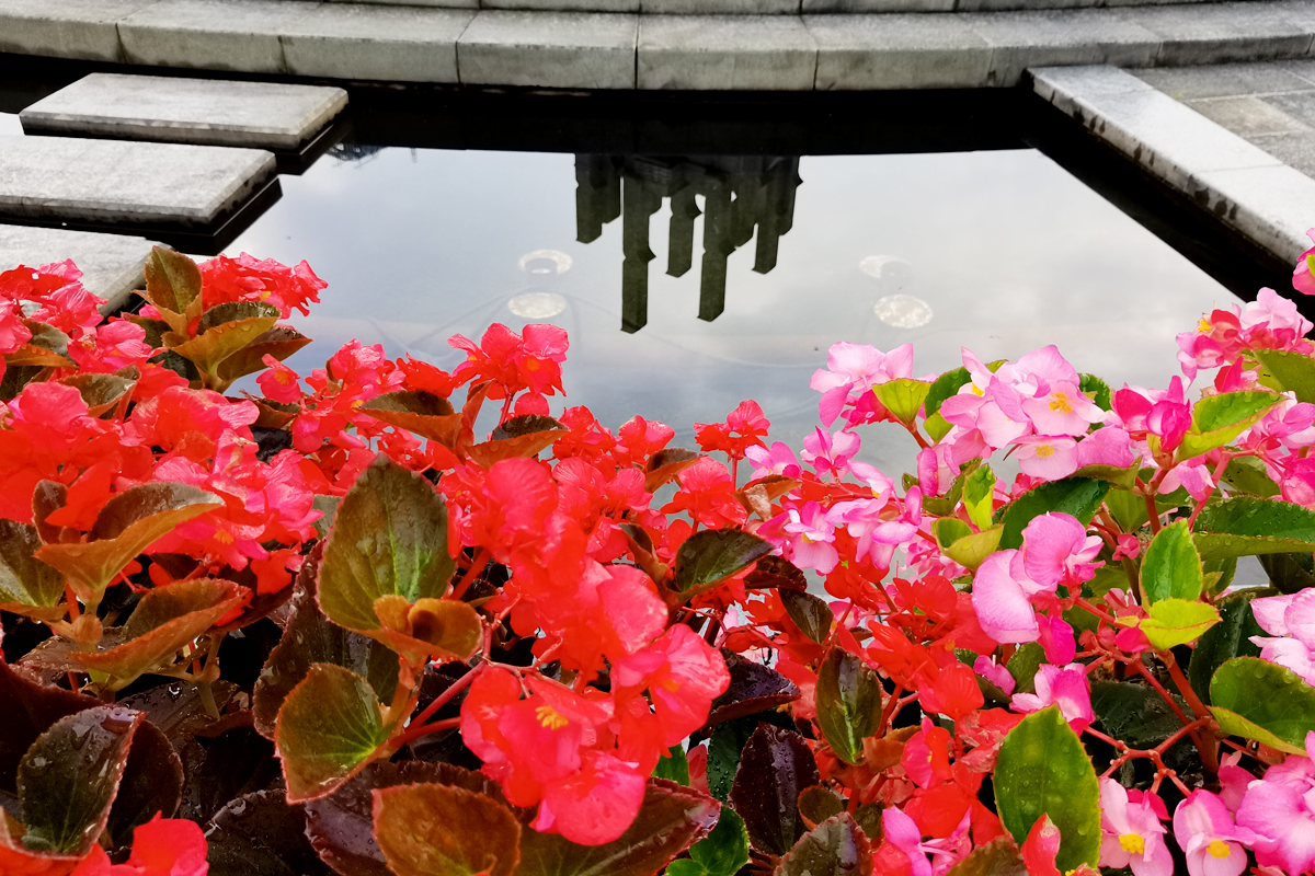 花盆里种不出参天大树——东吴第一任太子孙登成长记