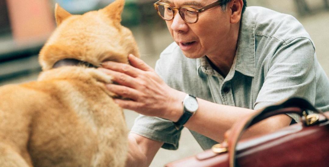 国产翻拍2019 (国内翻拍的电影吐槽)