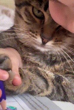 「被窝段子20221101」生命中的全部偶然其实都是命中注定