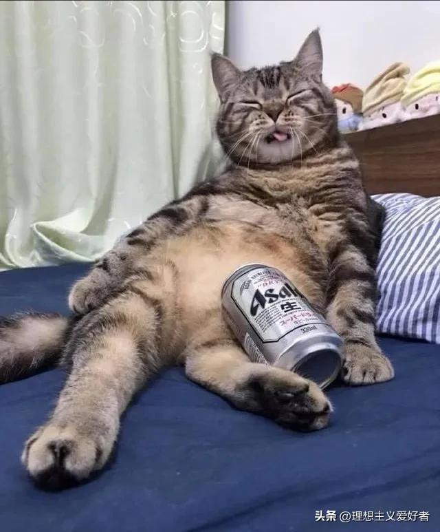 “葛优躺”侵权官司几乎全胜,葛优躺侵权律师解释