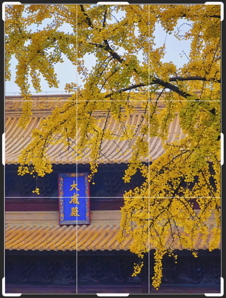 36个技巧助您手机拍大片,学会这7点轻松拍大片