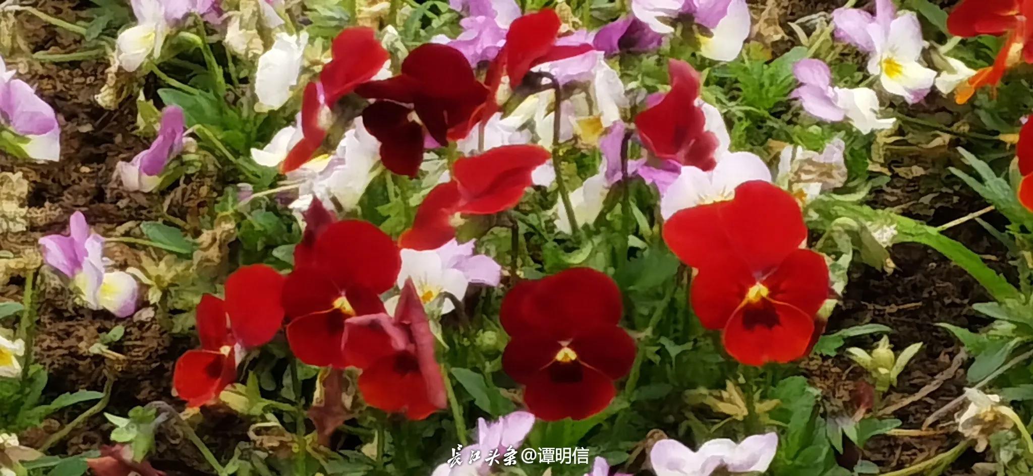 精明女人理财之道,女人的理财