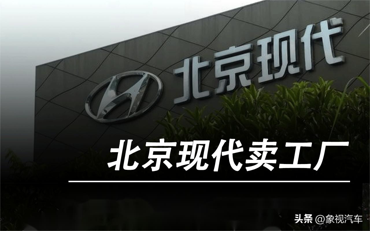 甩卖两家工厂？韩国最赚钱企业，被中国人卡住了脖子