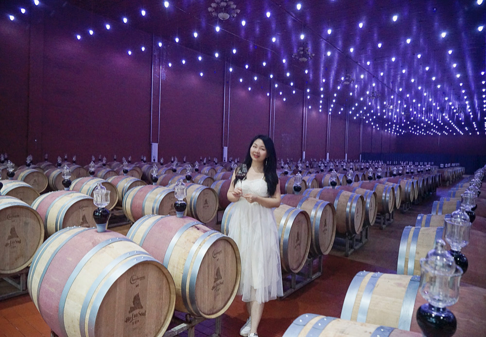 张裕宁夏酒庄最好的干白葡萄酒,宁夏十大葡萄酒酒庄