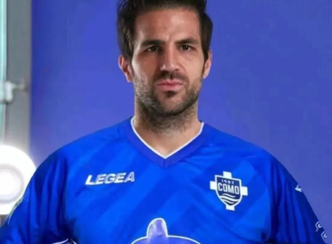 塞斯克法布雷加斯的师傅,弗朗塞斯克法布雷加斯