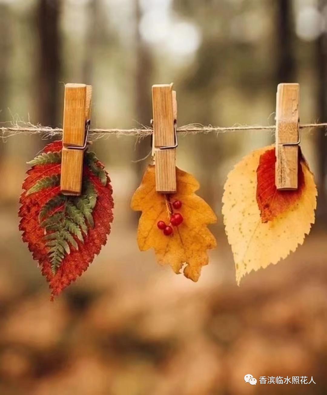 第21课大自然的声音小练笔怎么写,三年级大自然的声音小练笔作文