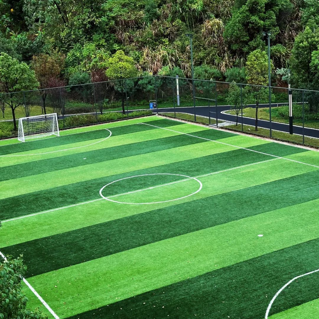 世界杯开始精彩,世界杯开始了没